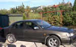 Nissan Maxima QX – fotka 2