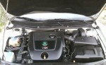 Skoda octavia 74kw 1.9TDI 4x4, , M6 – fotka 2