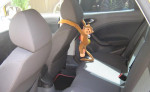Seat Ibiza 1.4 Stylance Super stav – fotka 3